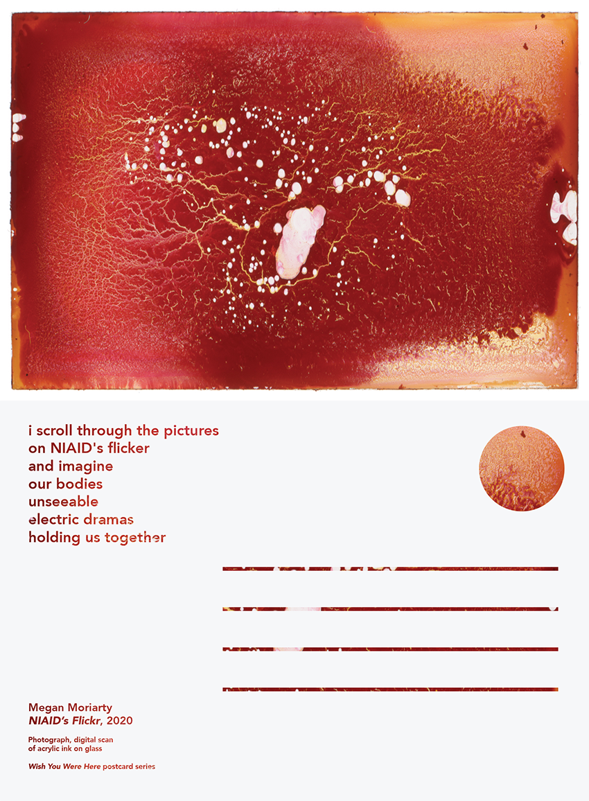 Megan Moriarty Megan Moriarty